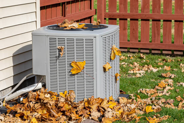 Best Air Quality Test  in Duncan Falls, OH